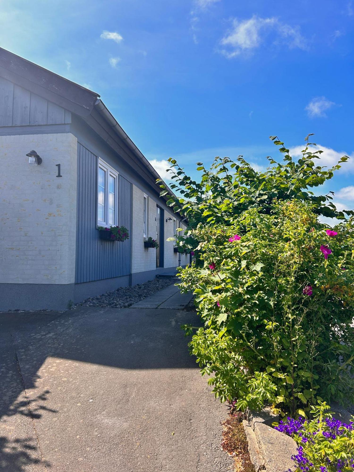 Apartamenty Neksø Dış mekan fotoğraf