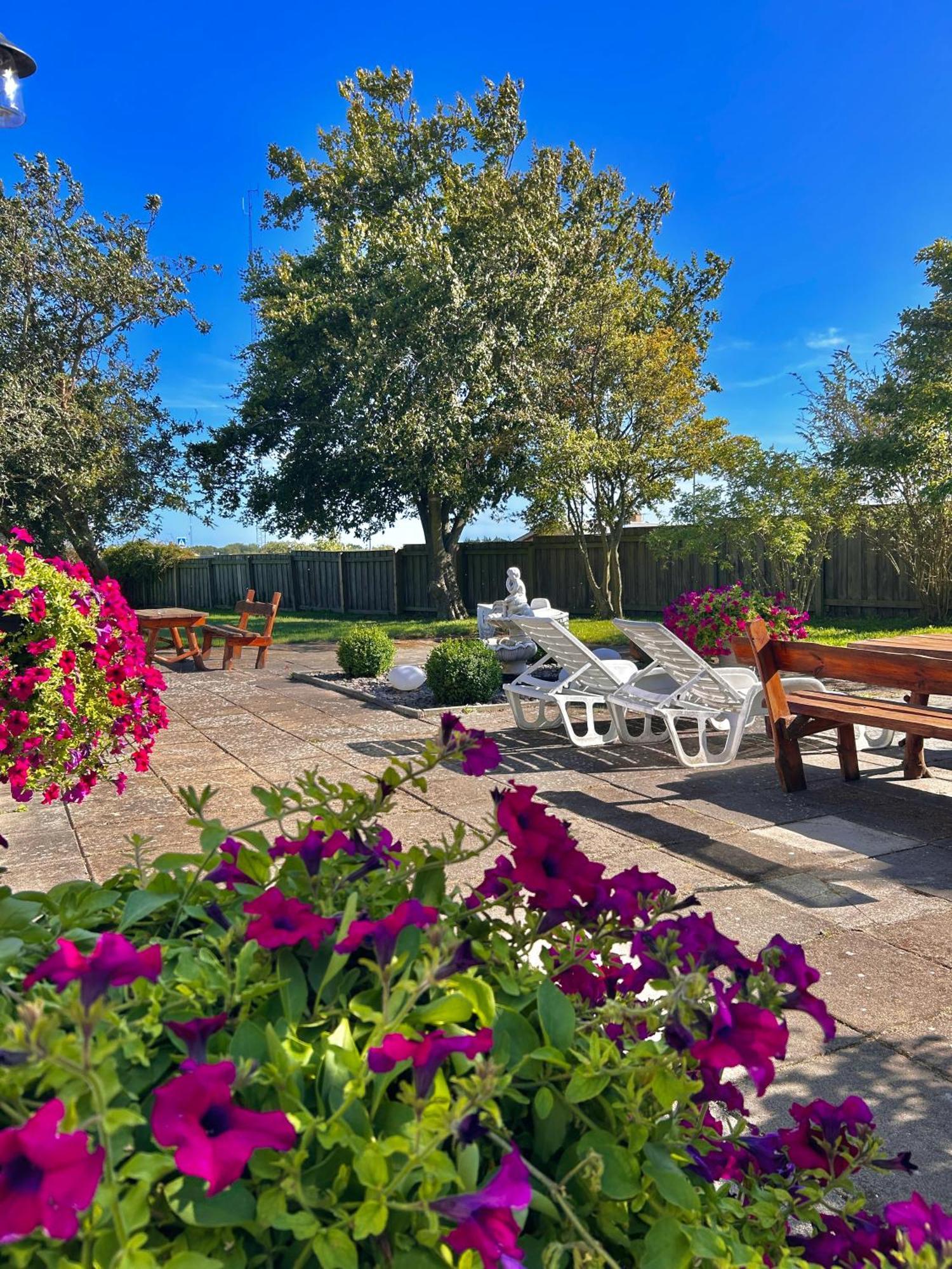 Apartamenty Neksø Dış mekan fotoğraf