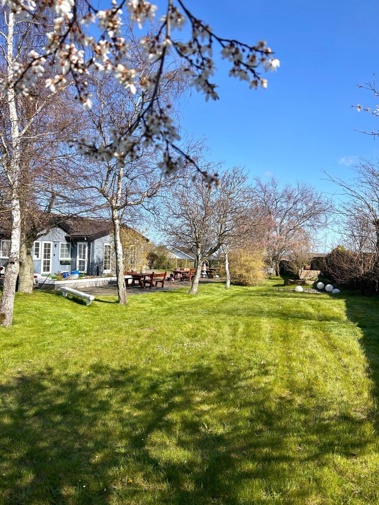 Apartamenty Neksø Dış mekan fotoğraf